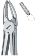 Dental Instruments