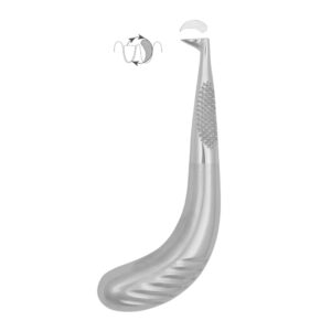 Molars Roots Right 13.0 cm