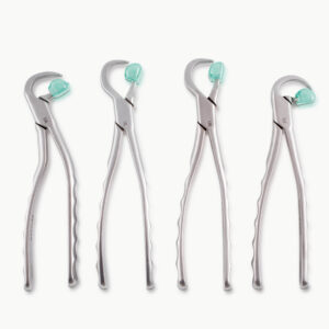 Physics Forceps Set Of (4 Pcs)